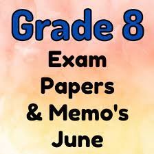Life Orientation Grade 8 Questions and Answers Pdf 2023, to 2018 June, September and November, Term 1, 2, 3 and 4, for Both Paper 1 and 2, Task 1, 2,3